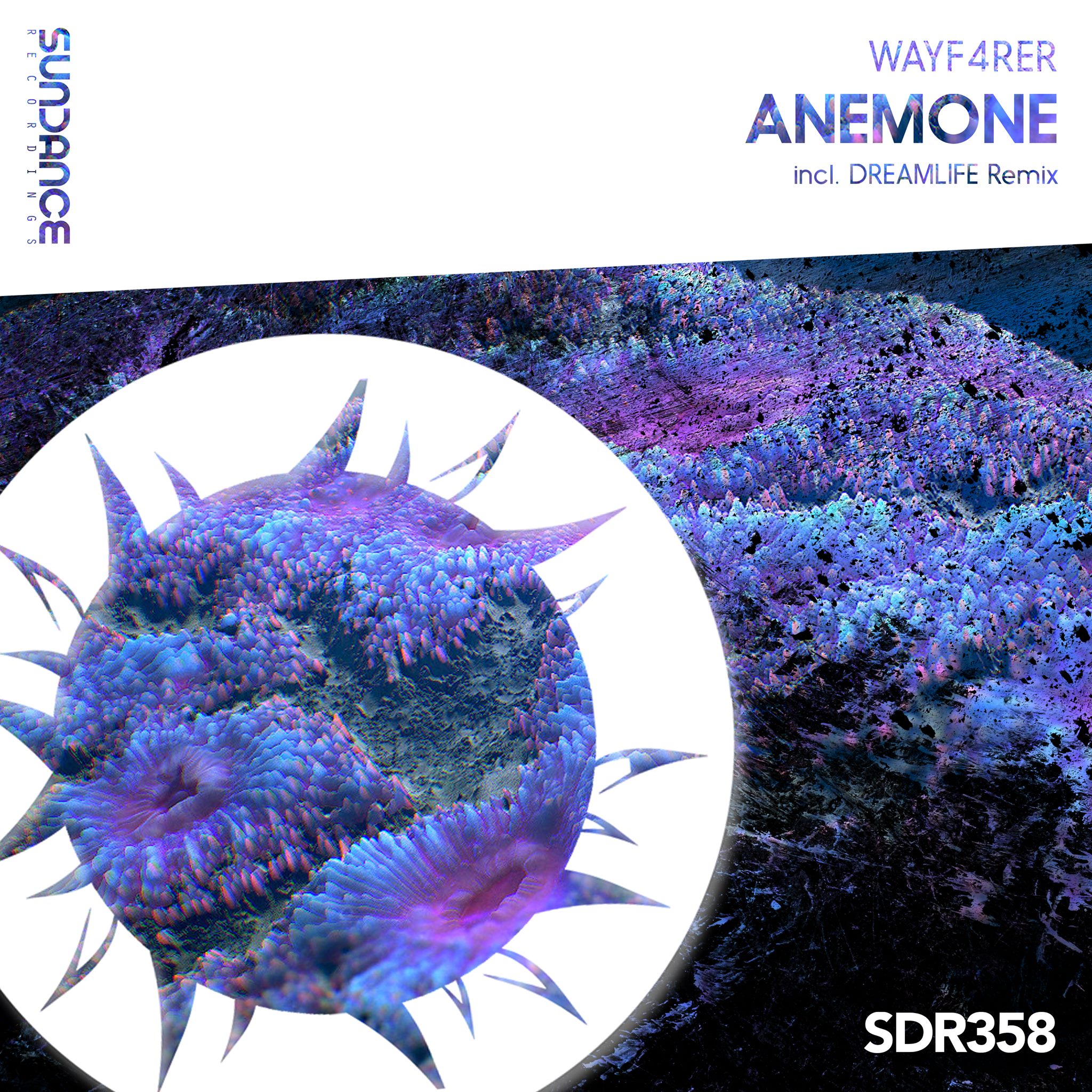 Wayf4rer – Anemone (DreamLife Remix)