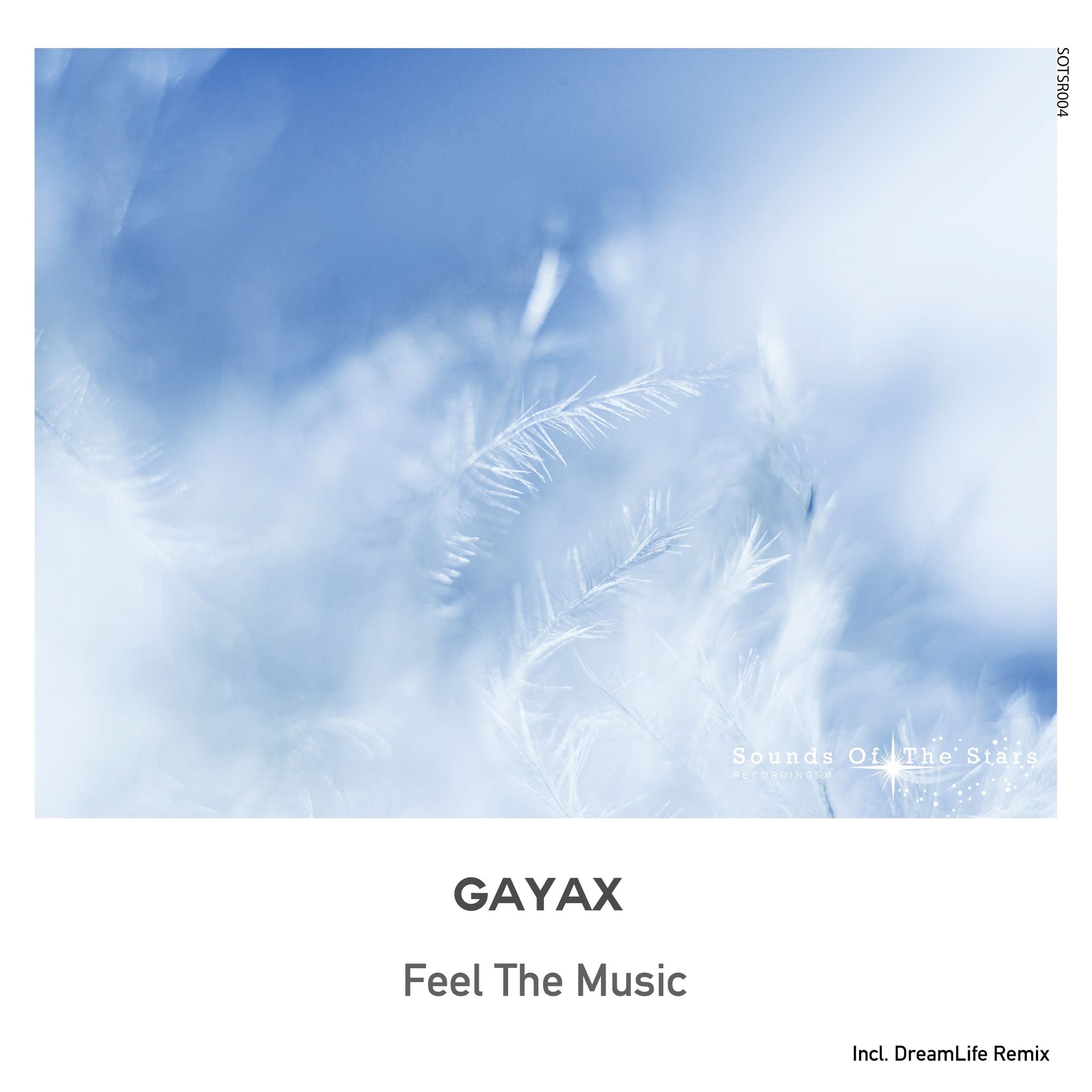 Gayax - Feel The Music (DreamLife Remix)